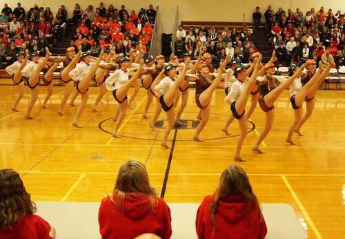 Mary Poppins, 2014-2015 Mound West Tonka Dance team, The Line Up, theme costume, brown spakly costume, MSHSL dance