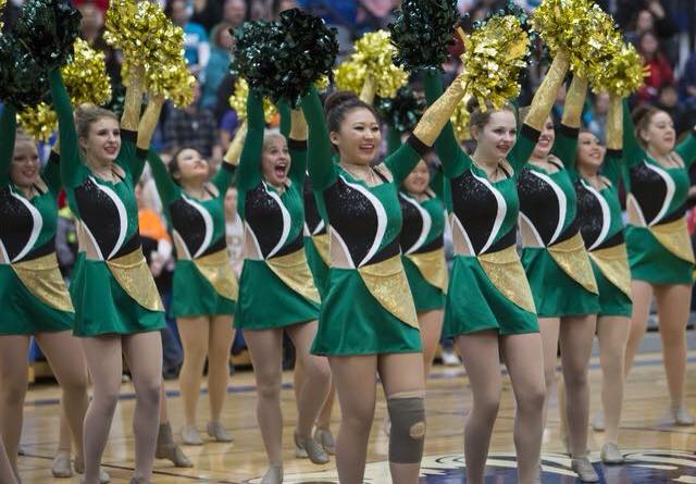 Oshkosh North Dance team 2015, Pom, The Line Up, custom costume