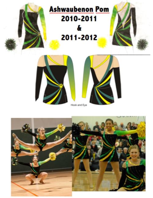 Pom 2010-2011