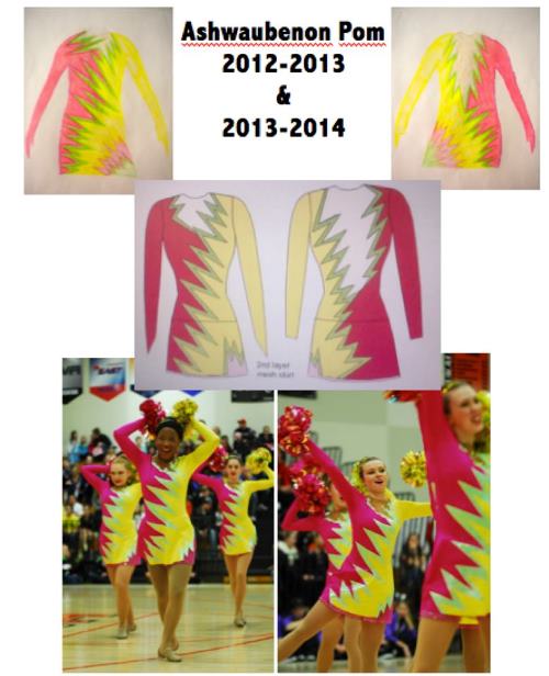 Pom 2012-2013