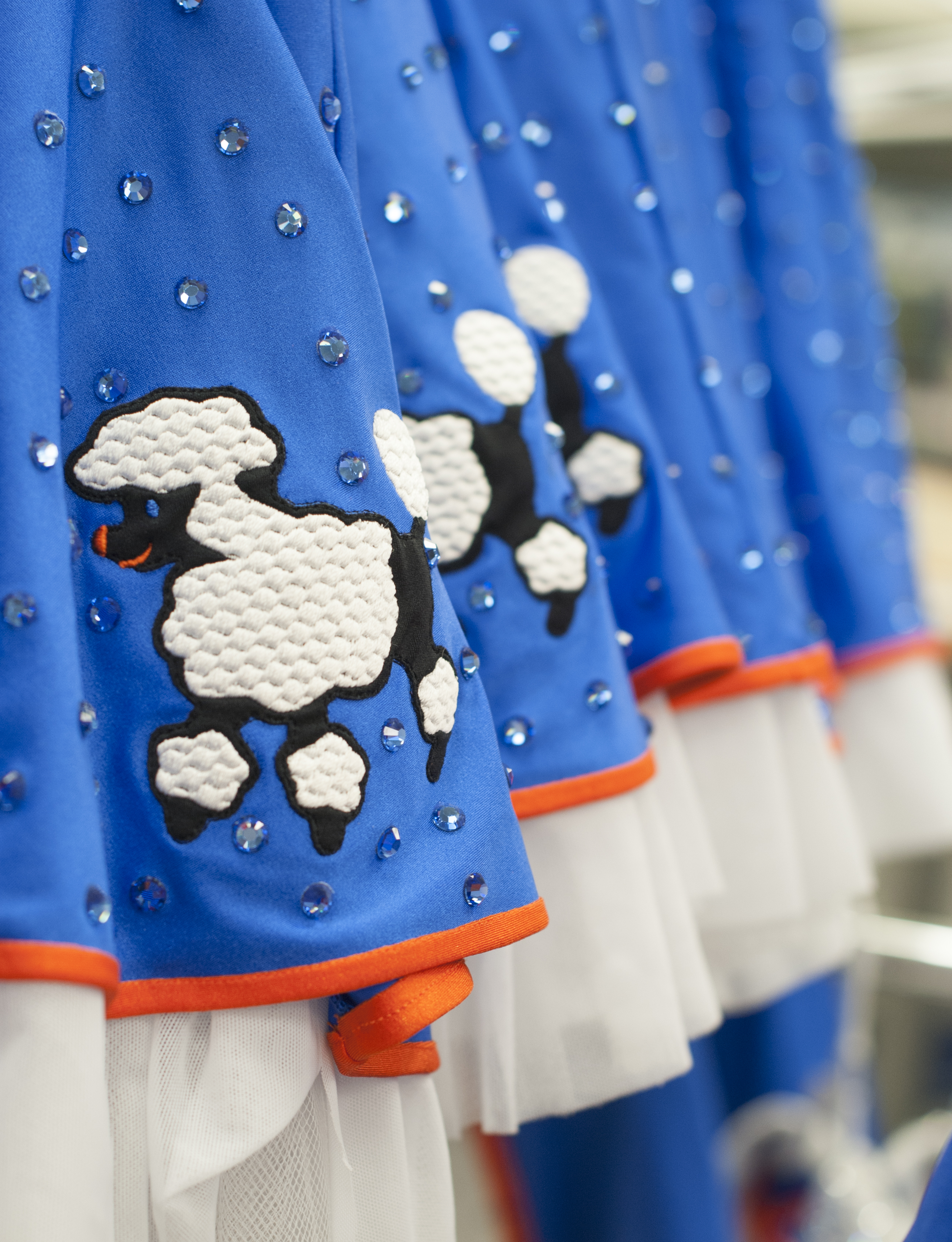 knicks1
