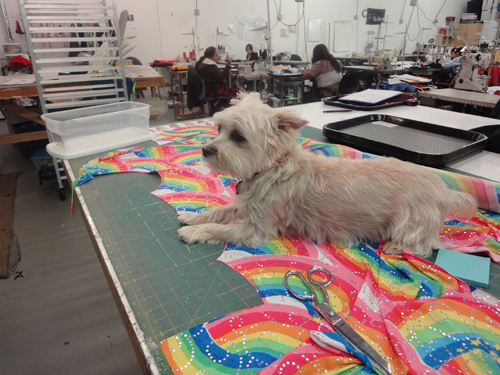 Jessie relaxing while cutting 