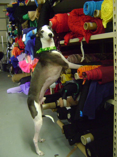 Oscar in reaching the fabric