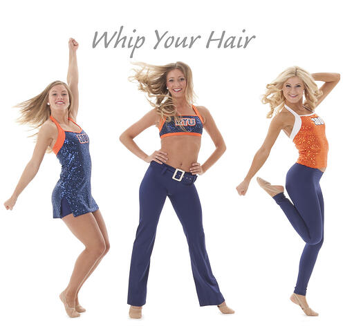 Whip Your Hair