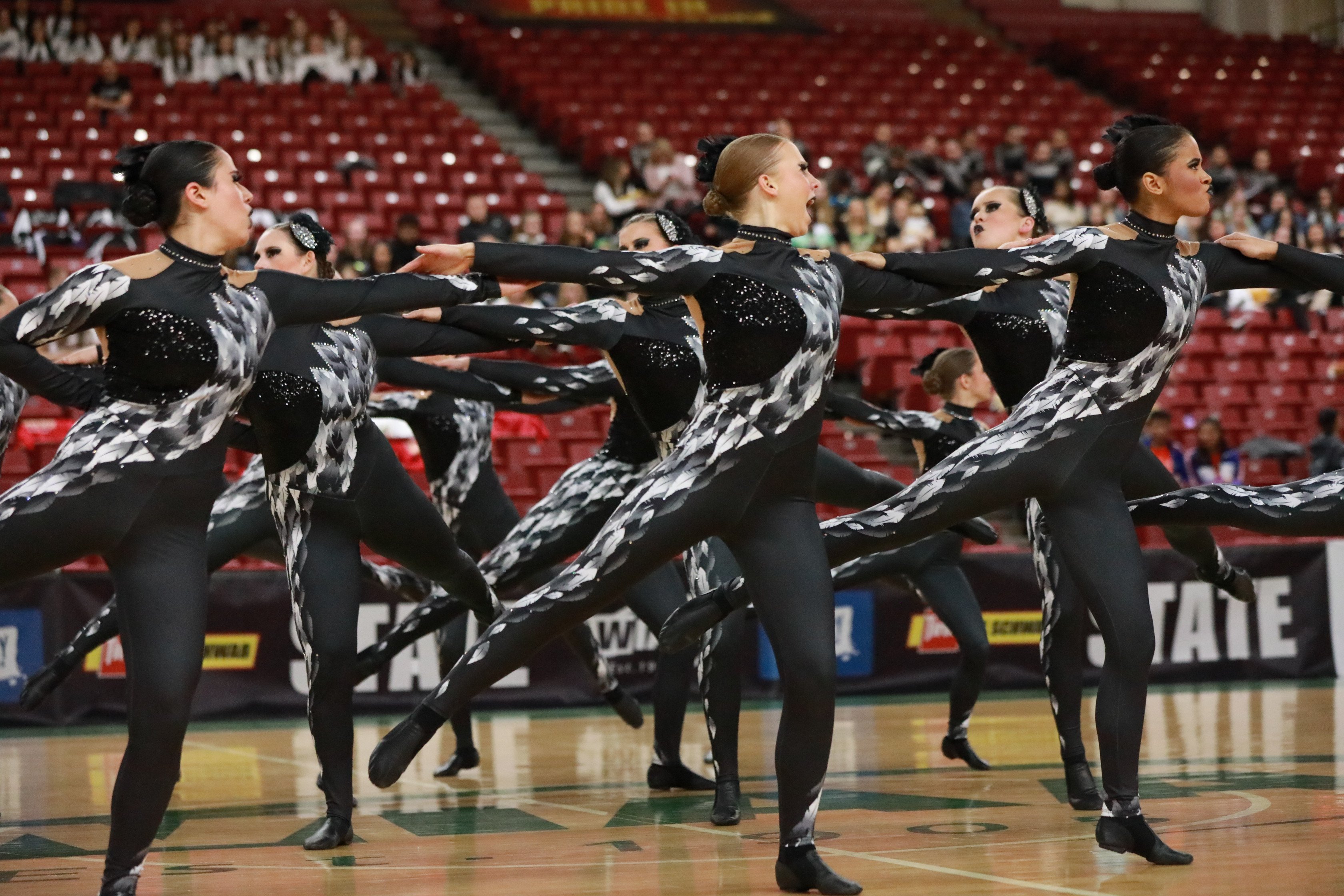 Liberty High School Washington State Dance Competition Kick costume