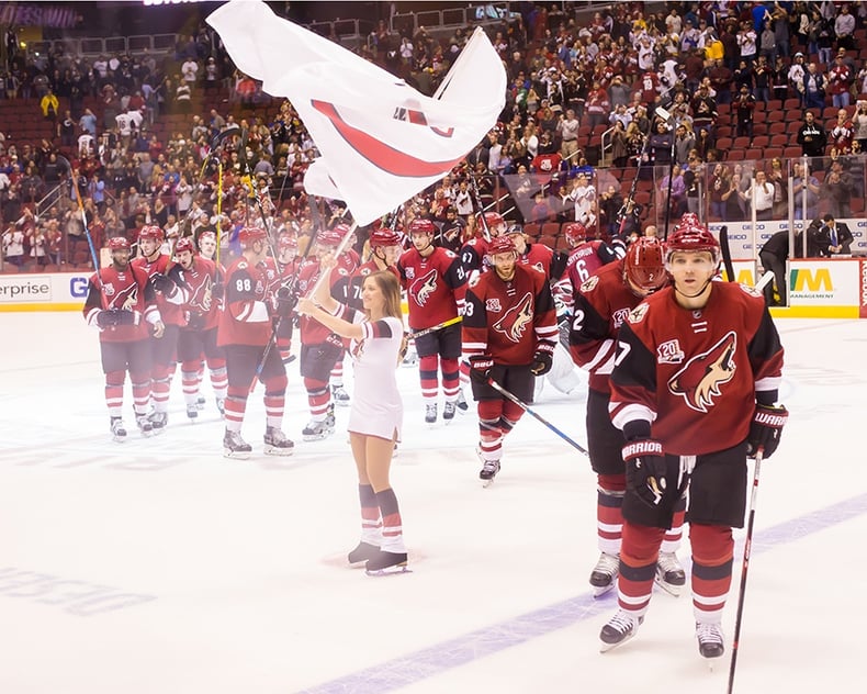 Arizona Coyotes Paw Patrol Ice Crew Uniforms