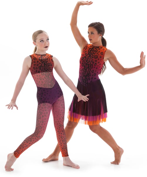 Mesh animal print dance costume and skate dress