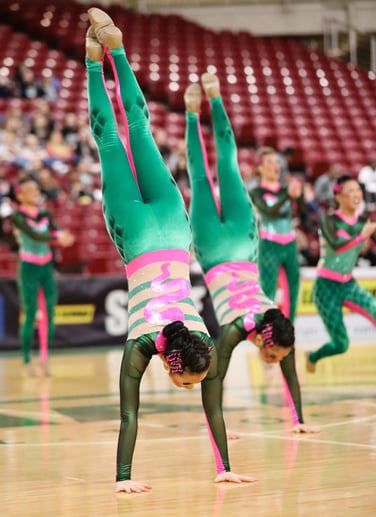 Hazen drill team snack costume